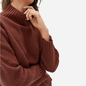 Everlane The Cashmere Stroopwafel Turtleneck